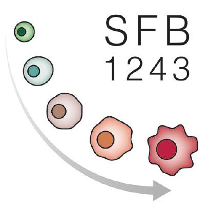 SFB1243 Logo